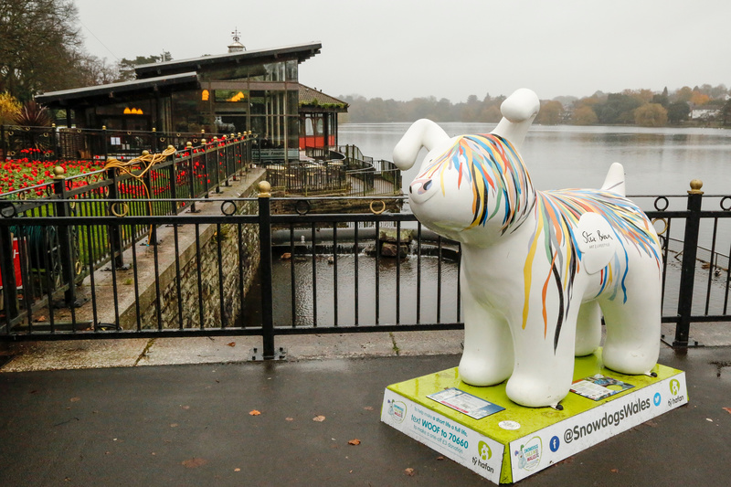 25. McCoo, Roath Park Lake - Cardiff SnowDogs