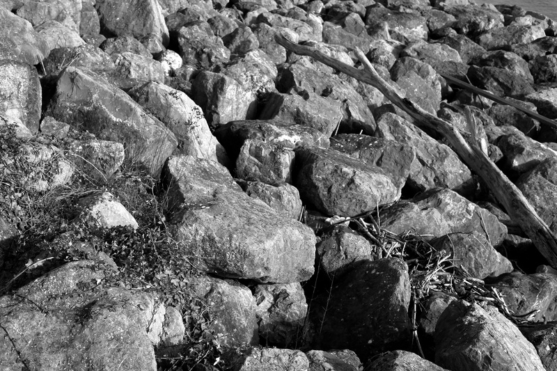 Flotsam - Bay and Barrage