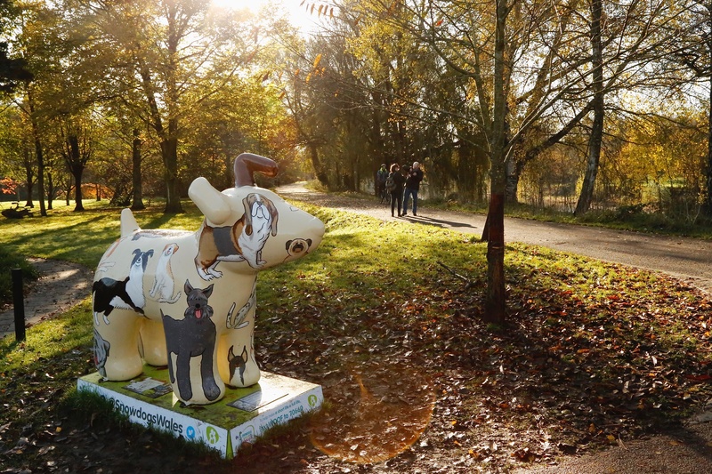 22. Big Dogs Little Dogs, Bute Park - Cardiff SnowDogs