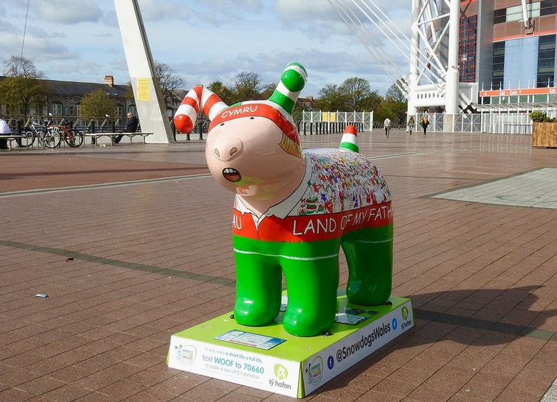 9. Anthem, Millennium Walk - Cardiff SnowDogs