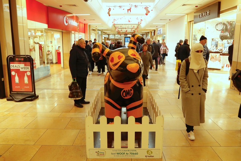 15. OMG Emoji Dog, St David'd Centre - Cardiff SnowDogs