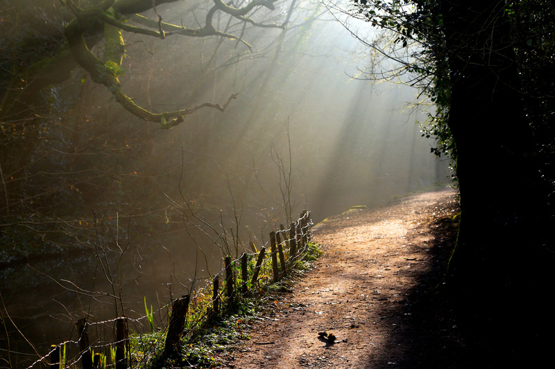 Slanting Light - Urban Sanctuary