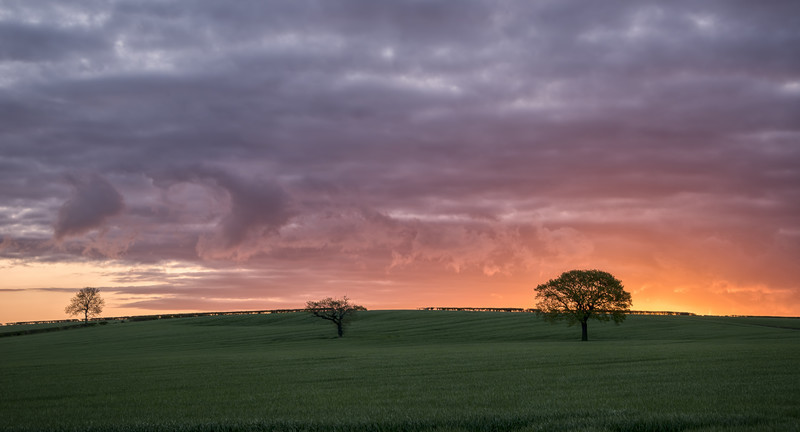 Natures Morning Delight - Sunrises and Sunsets