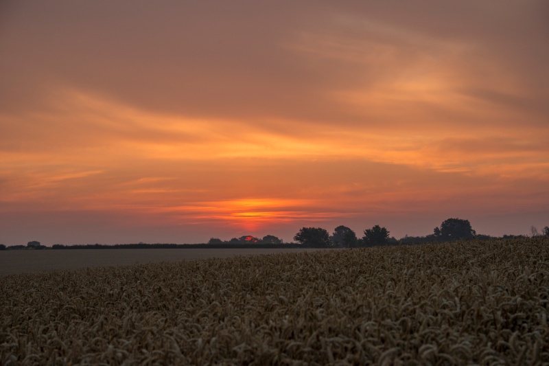 Rising Sun  - Sunrises and Sunsets