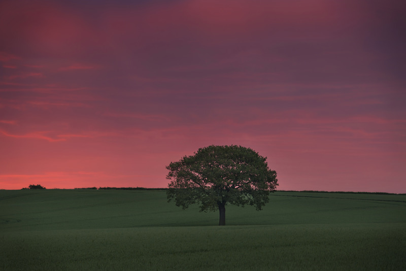 Amazing Dawn In June 2014 - Sunrises and Sunsets