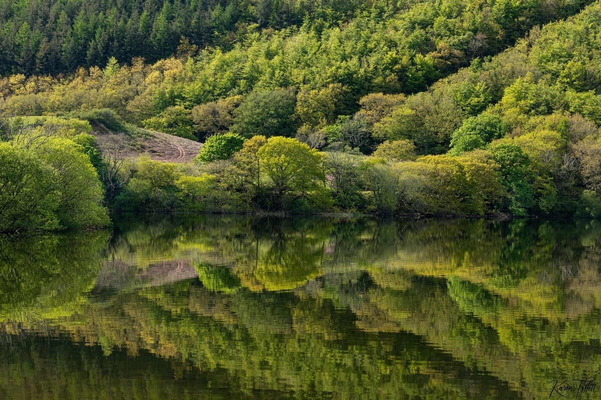 - Reflections