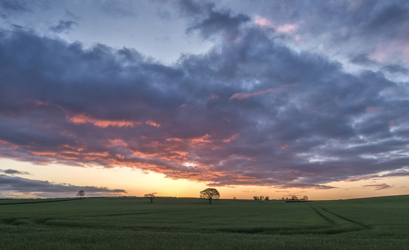 Striking Dawn - Sunrises and Sunsets