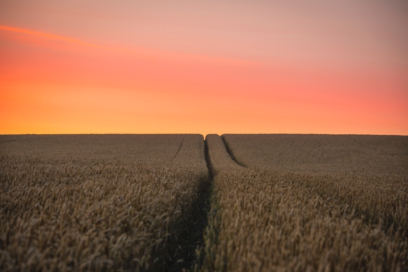 Dawn - Sunrises and Sunsets
