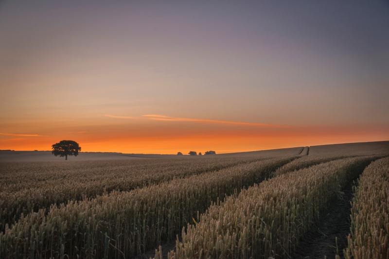 Early Morning Delight - Sunrises and Sunsets