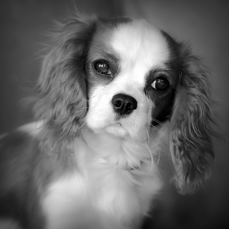  - Black and white