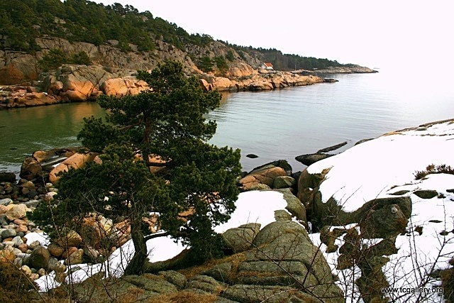 Grimstad Fevik - Postcard
