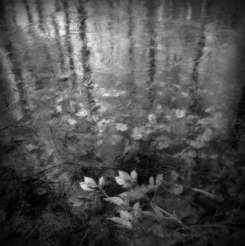 - Black and white