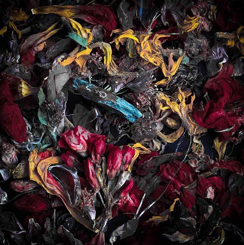  - Faded leaves