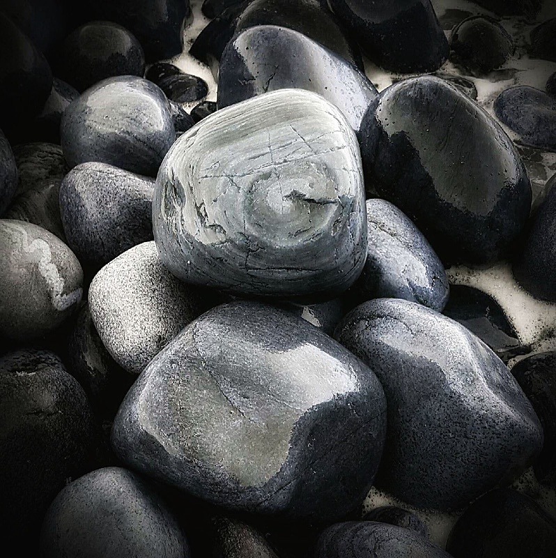  - Still life