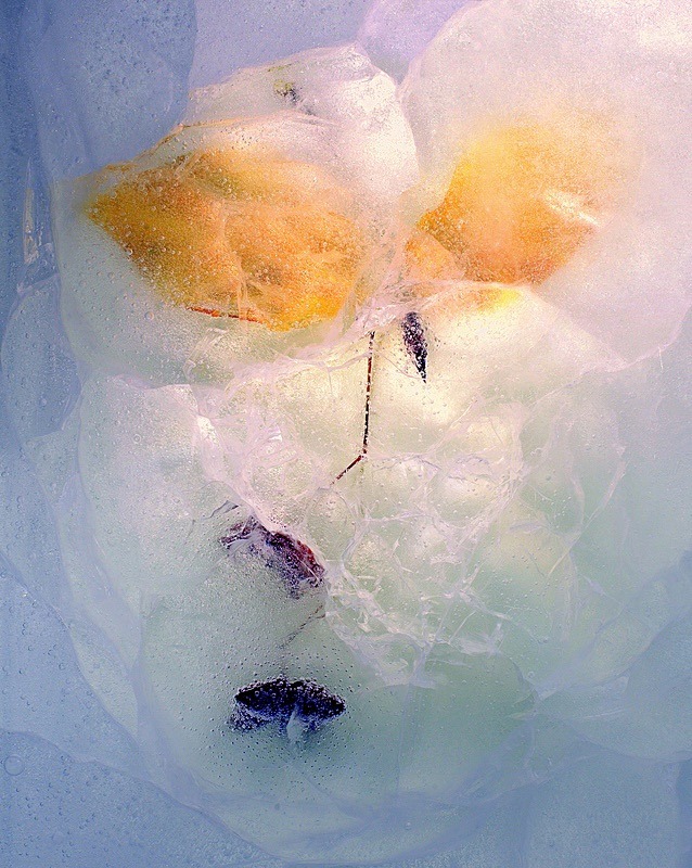  - Still life