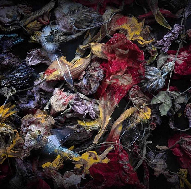  - Faded leaves