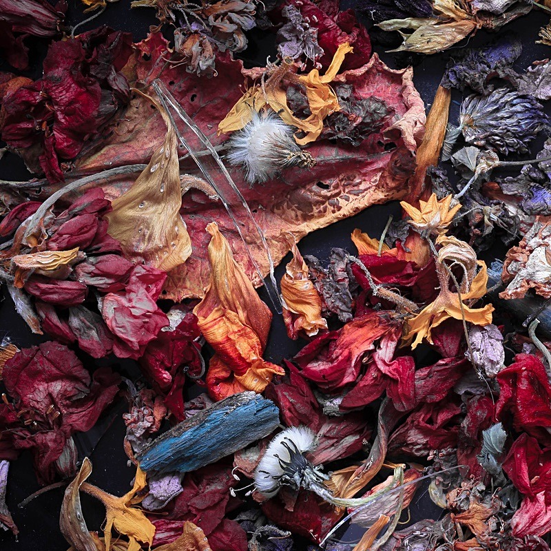  - Faded leaves