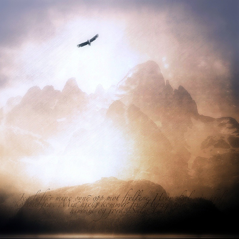  - Graphic photography