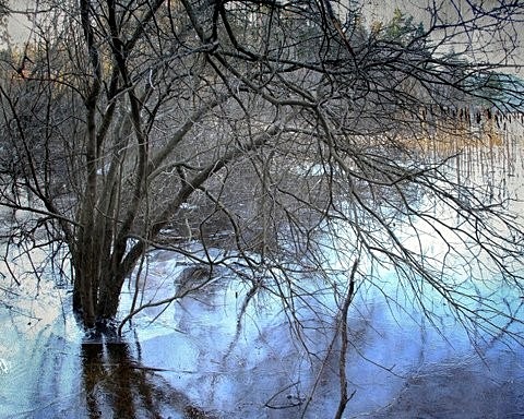 Grimstad Frost - Postcard
