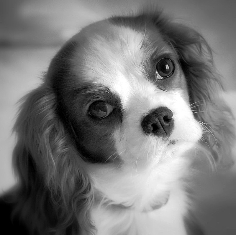  - Black and white