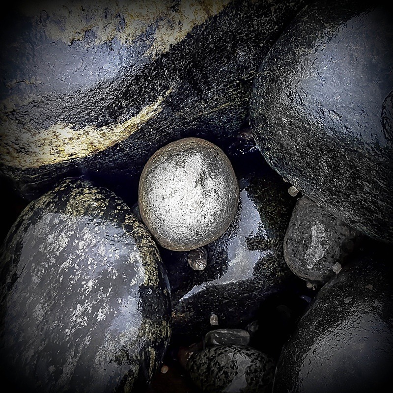  - Still life