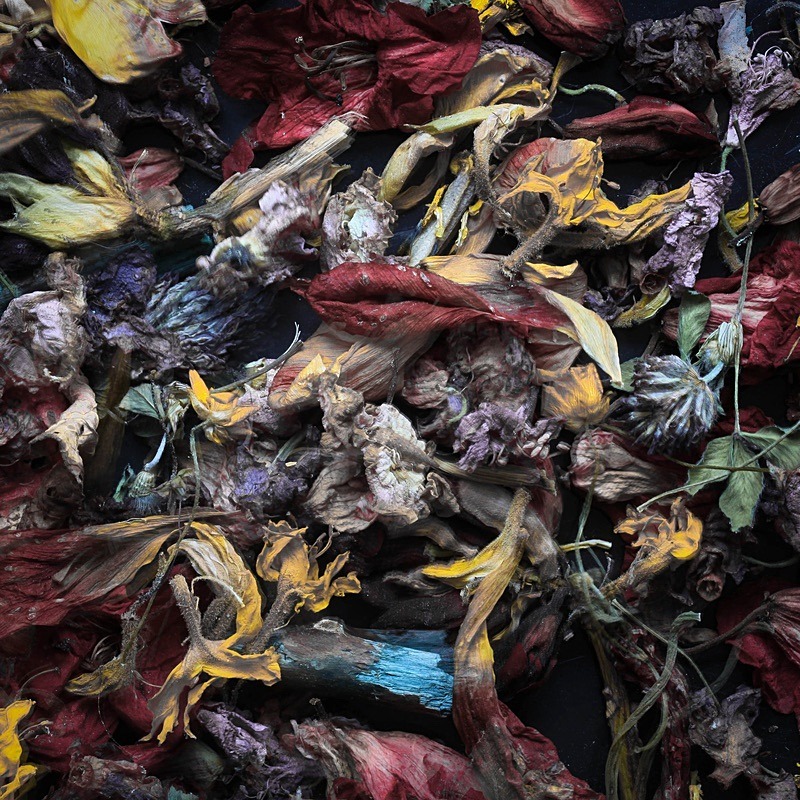  - Faded leaves