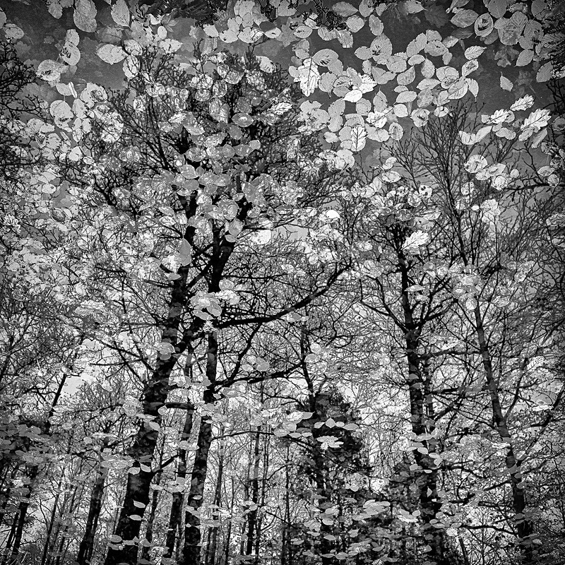  - Black and white