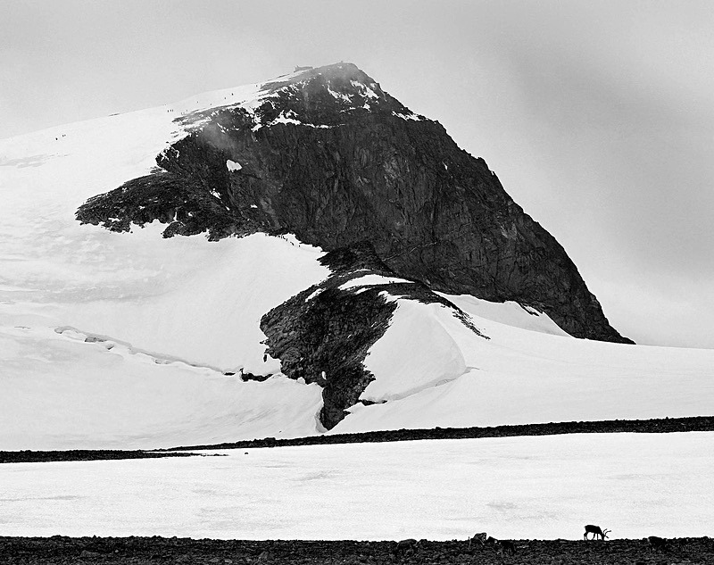  - Black and white