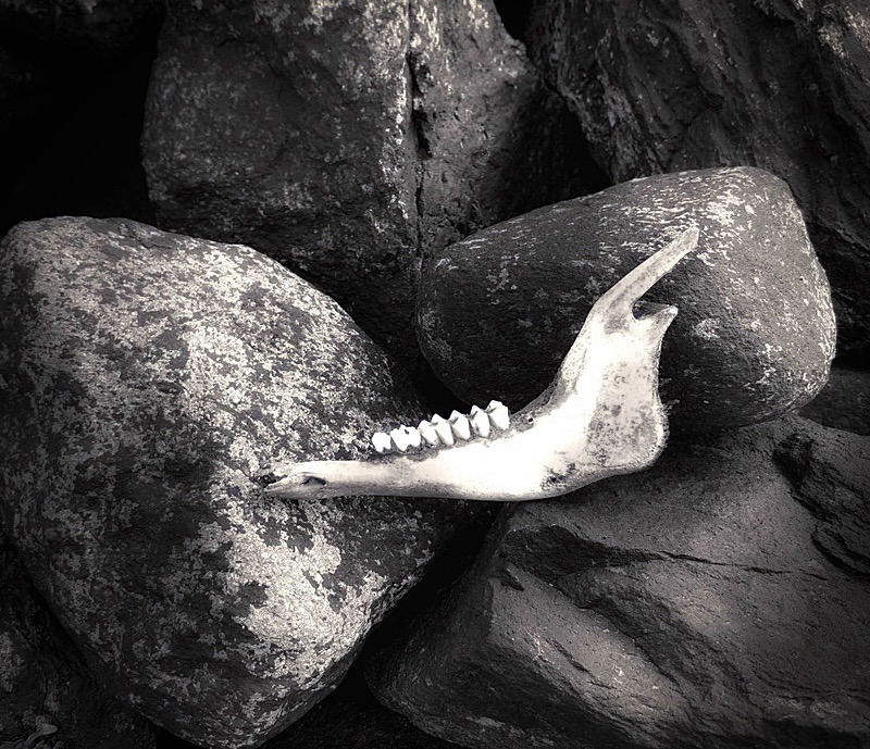  - Black and white