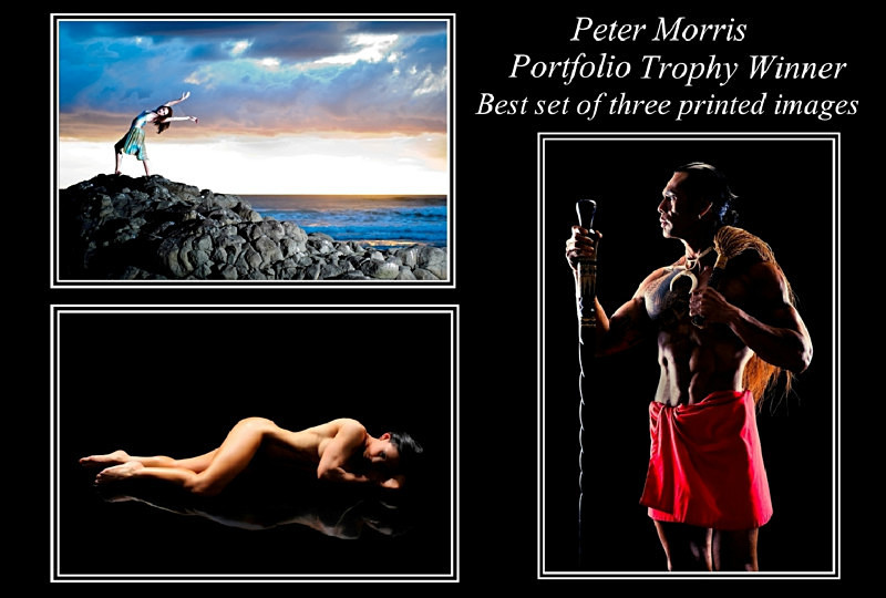 Peter - HPS Trophy Winner 2010 - Portfolio - Awards