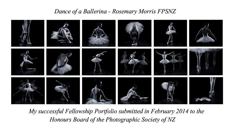 Rosemary Morris - PSNZ Fellowship Distinction 2014 - Awards