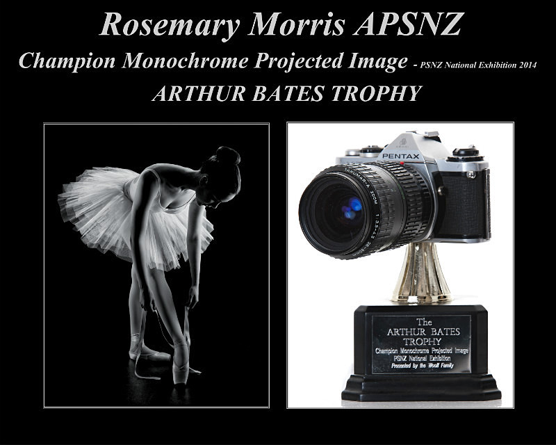 Champion Projected Image - Arther Bates Trophy - NATEX 2014 - Rosemary - Awards