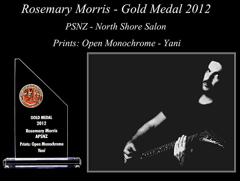 Rosemary Morris - Gold Medal North Shore Salon 2012 - Awards