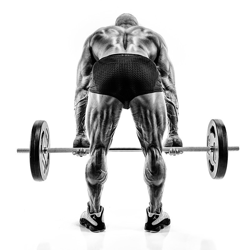  - Fit Folio