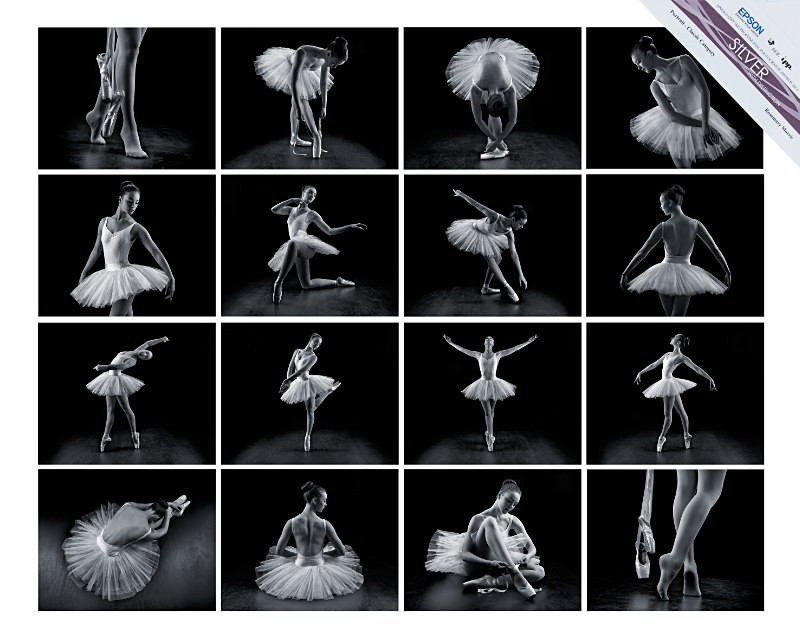 SILVER with Distinction - Rosemary Morris - NZIPP Iris Awards 2014 - P - Awards