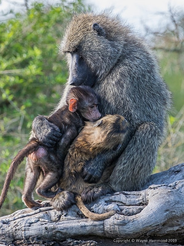  - Kenya (October 2019)