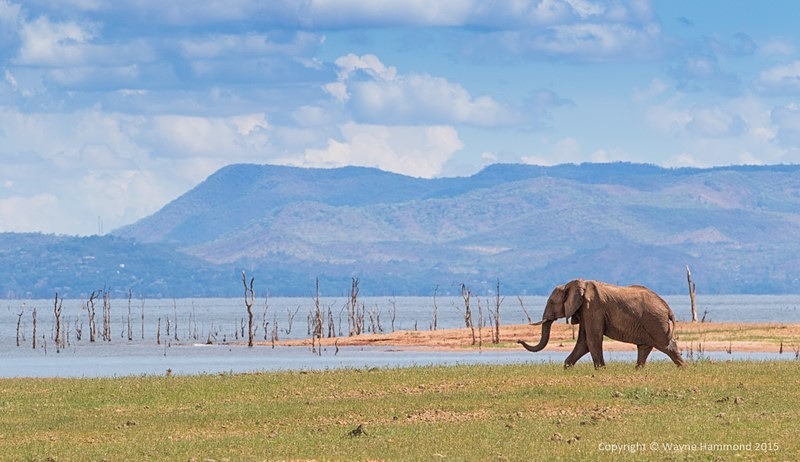  - Zimbabwe (December 2015)