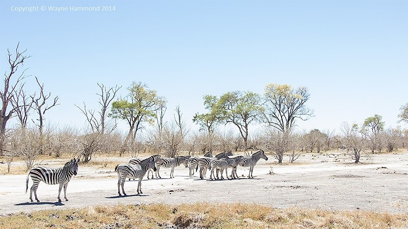  - Botswana (August 2014)