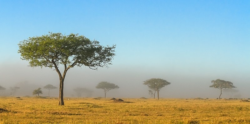  - Tanzania (May 2010)