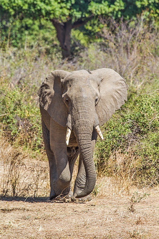  - Zambia (June 2013)