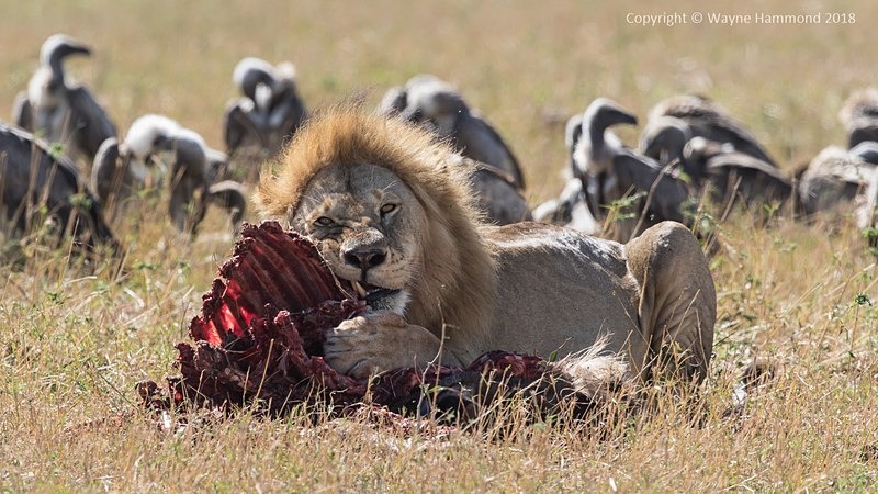  - Tanzania (October 2018)