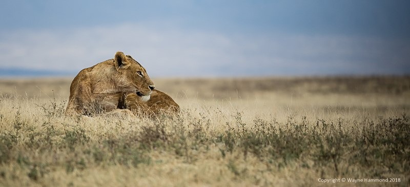  - Tanzania (October 2018)