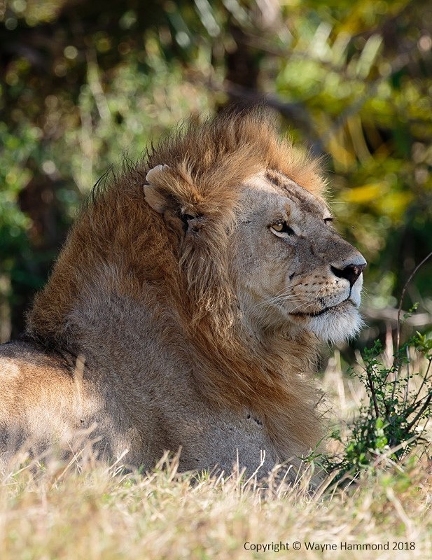  - Tanzania (October 2018)