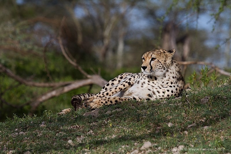  - Tanzania (March 2012)