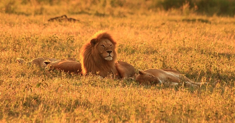  - Tanzania (May 2010)