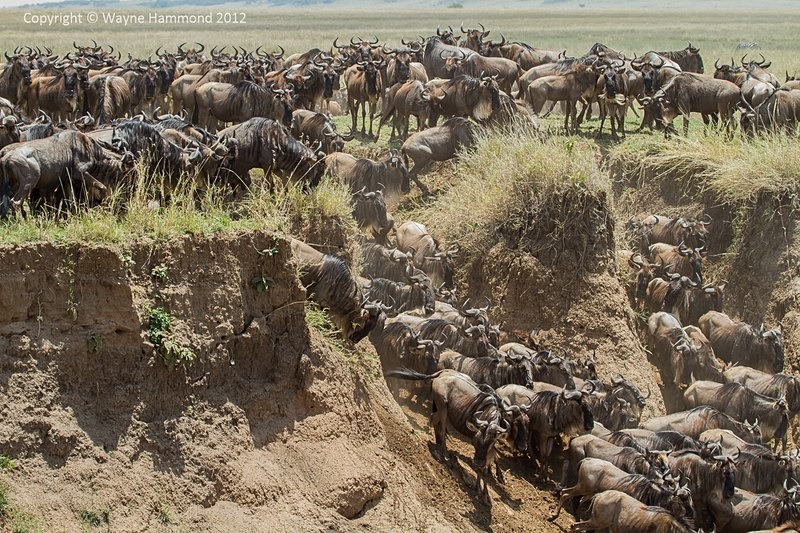  - Kenya (September 2012)