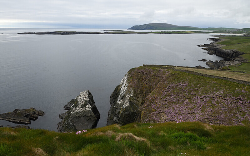Sumburgh Head - Shetlands and Cairngorn national park (Scotland)