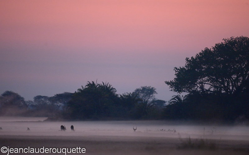 Gorgeous sunrise on the Busanga plains - Kafue N.P. (Zambia2014)