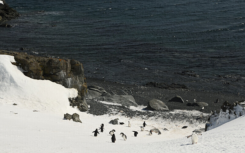  - Ushuaïa Malvinas South Georgia Antartica Peninsula