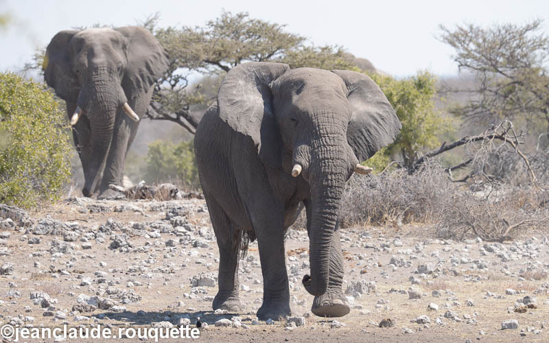 Namutoni camp - Etosha N.P.(Namibia 2013)